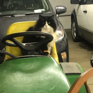 Meet your Posher, Cara